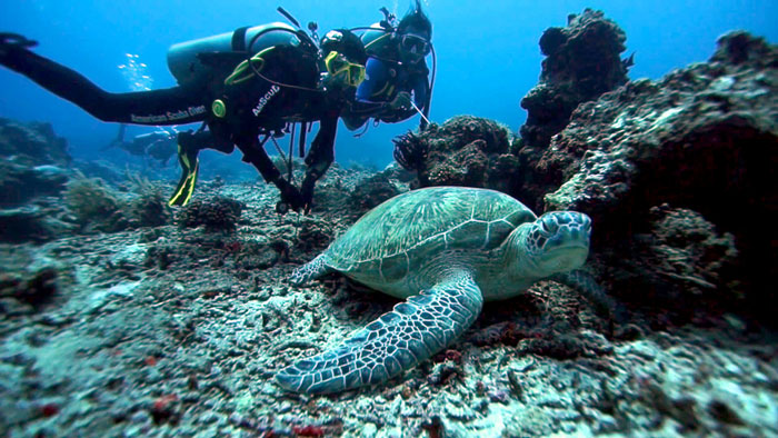 Для дайверов лучше места не сыскать