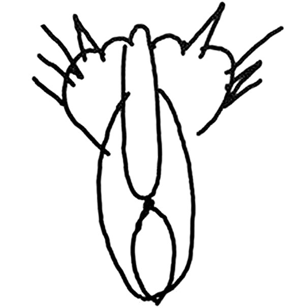 Рисунок Владимира Владимировича сначала не поняли, но он тут же объяснил задумку