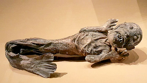 Мумия русалки из музея в США