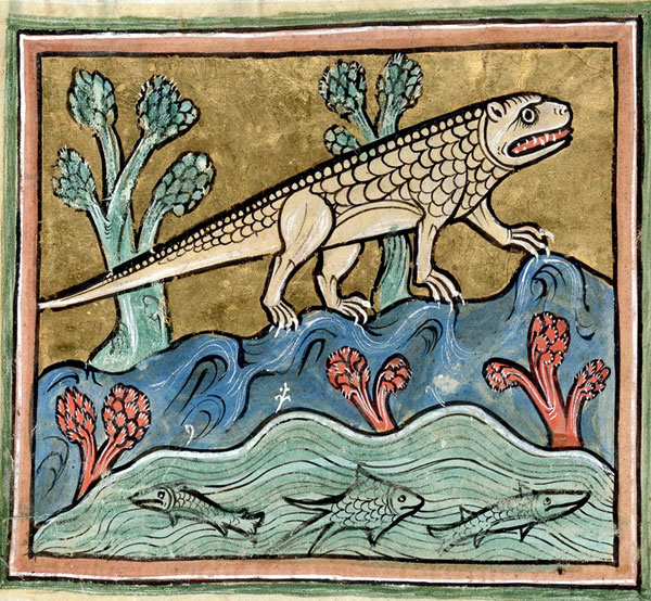 Прежде в наших реках плавали крокодилы, а теперь драконы сохранились лишь на острове Комодо