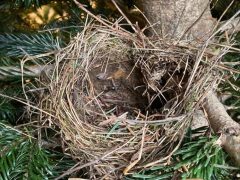 Фото Наталья Водяновой. Источник: официальная страница звезды в «Инстаграме**»