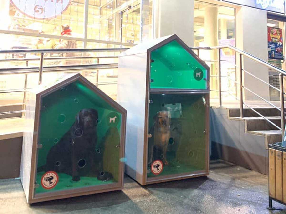 У столичной «Пятерочки» установили будки для собак