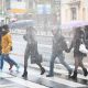 Погода в Санкт-Петербурге на 14 дней: мокрая зима до конца января - новости о метелях и оттепели