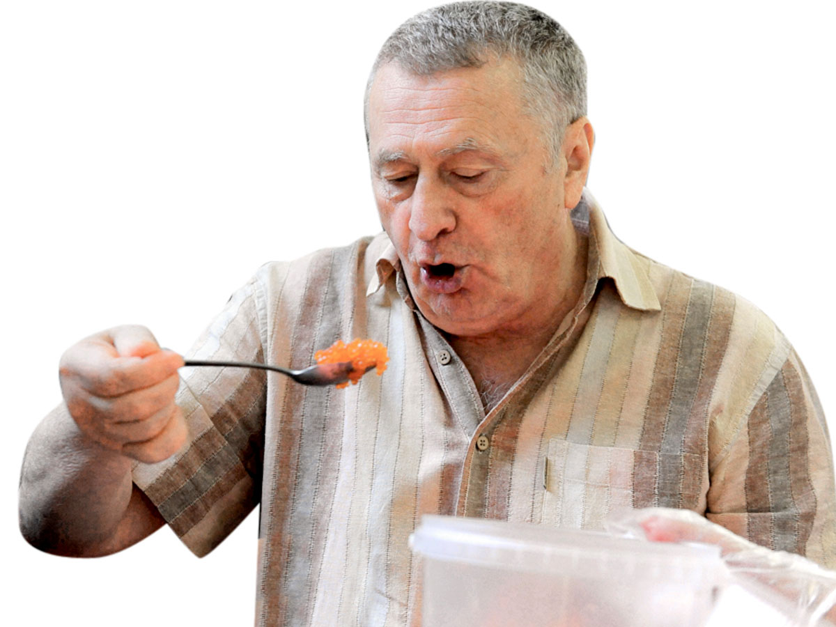 Владимир Жириновский