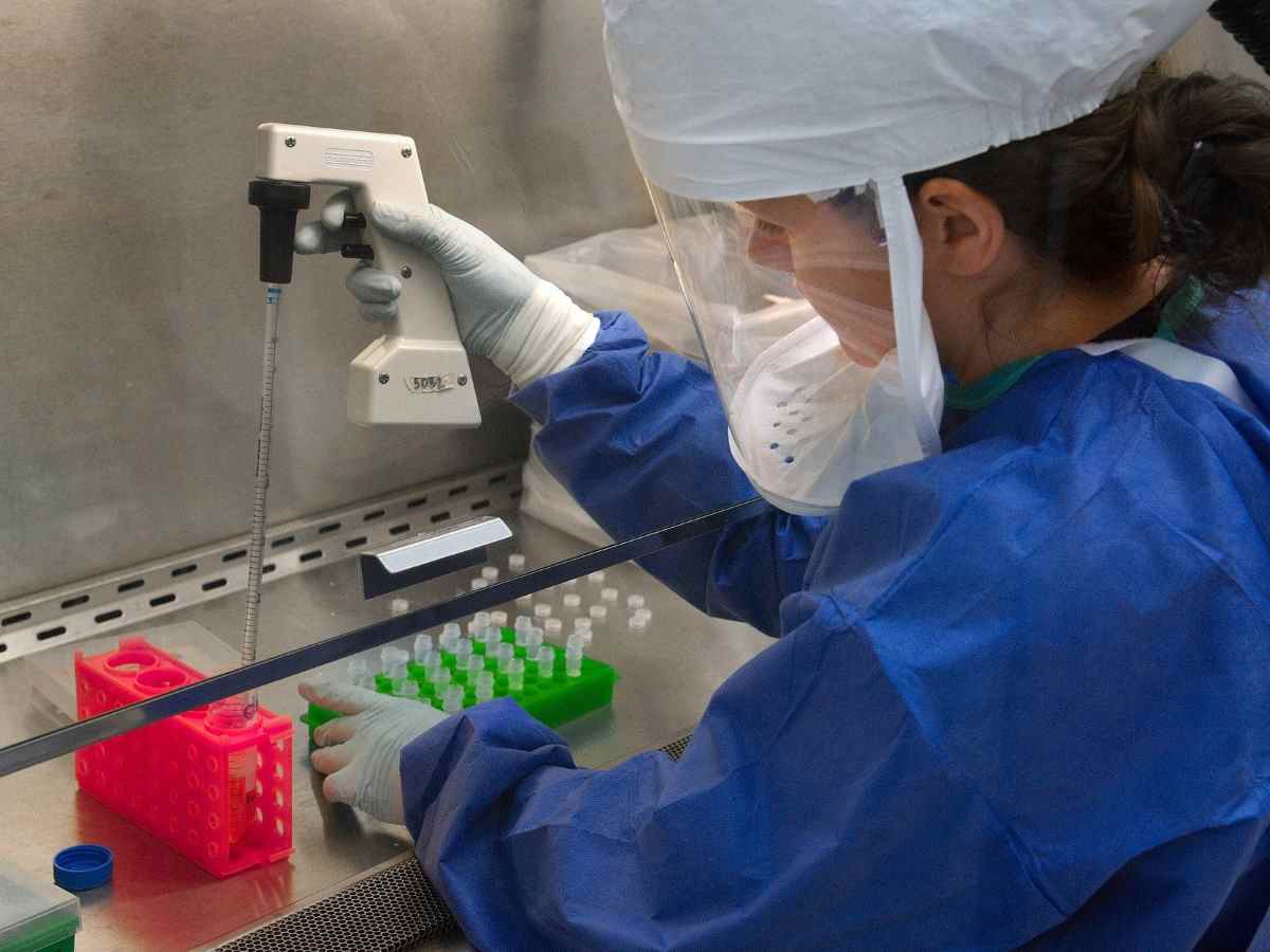В Китае считают, что США скрывают правду о коронавирусе