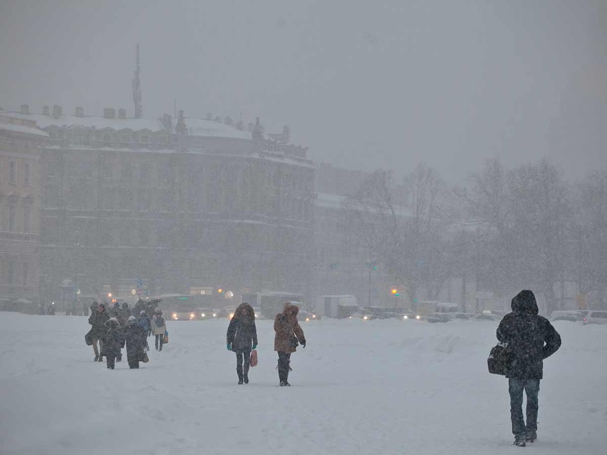 Метель в спб