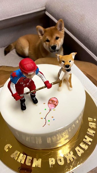 Торт для Ивана Телегина