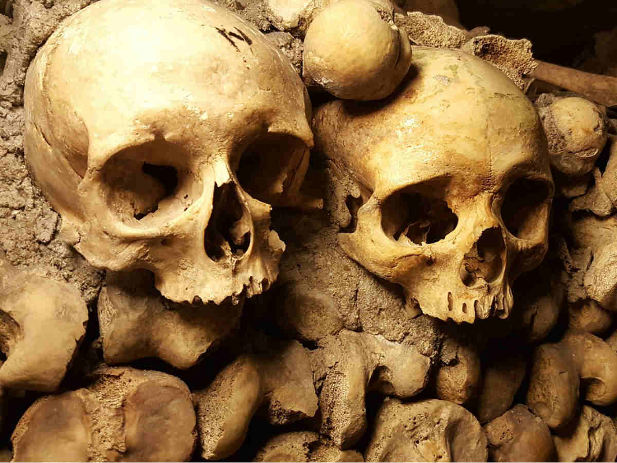 В Бельгии при раскопках нашли стены, сложенные из человеческих костей