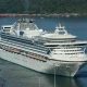 Украинцы с карантинного Diamond Princess отказались ехать на родину