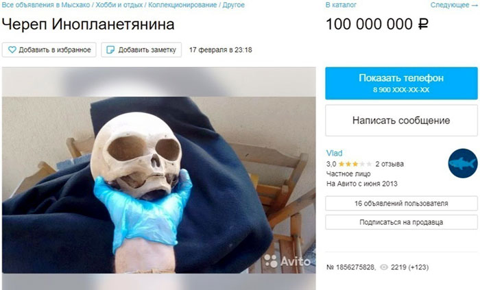 В Новороссийске выставили на продажу череп инопланетянина