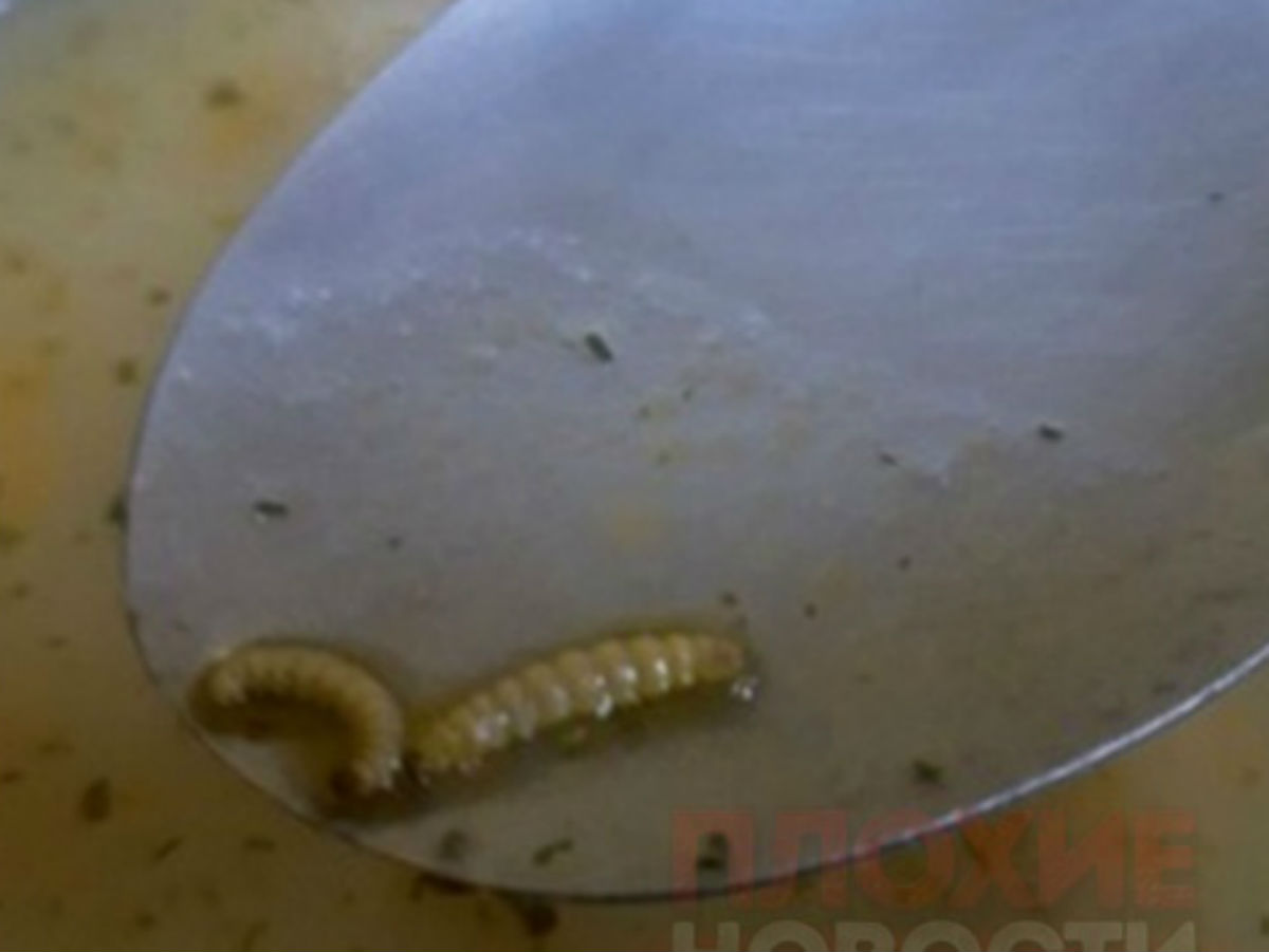 Черви в еде