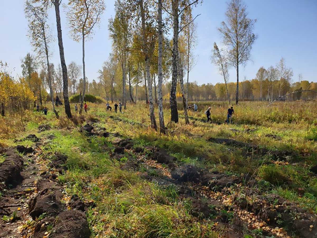 Самый полезный и необычный эко-подарок