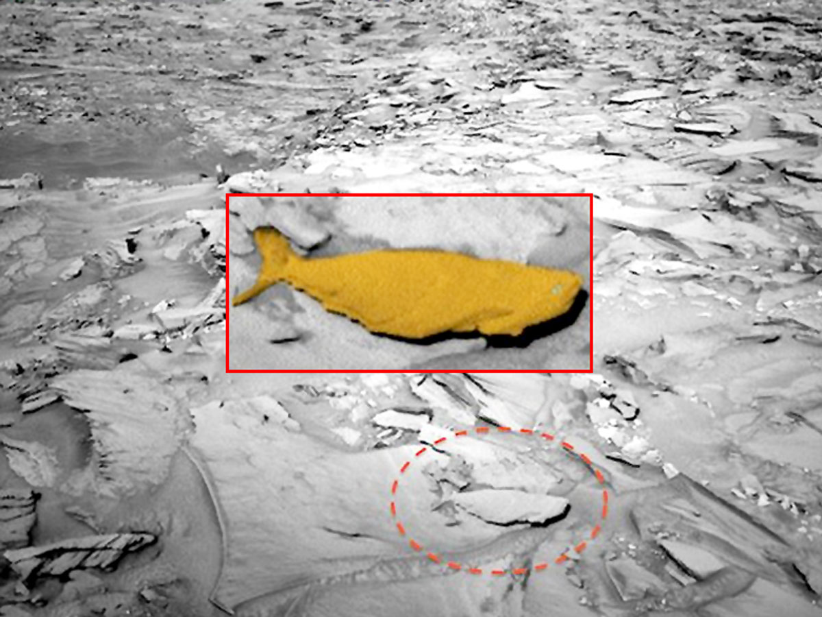 Ученые NASA нашли на Марсе подтверждение того, что там когда-то зарождалась жизнь