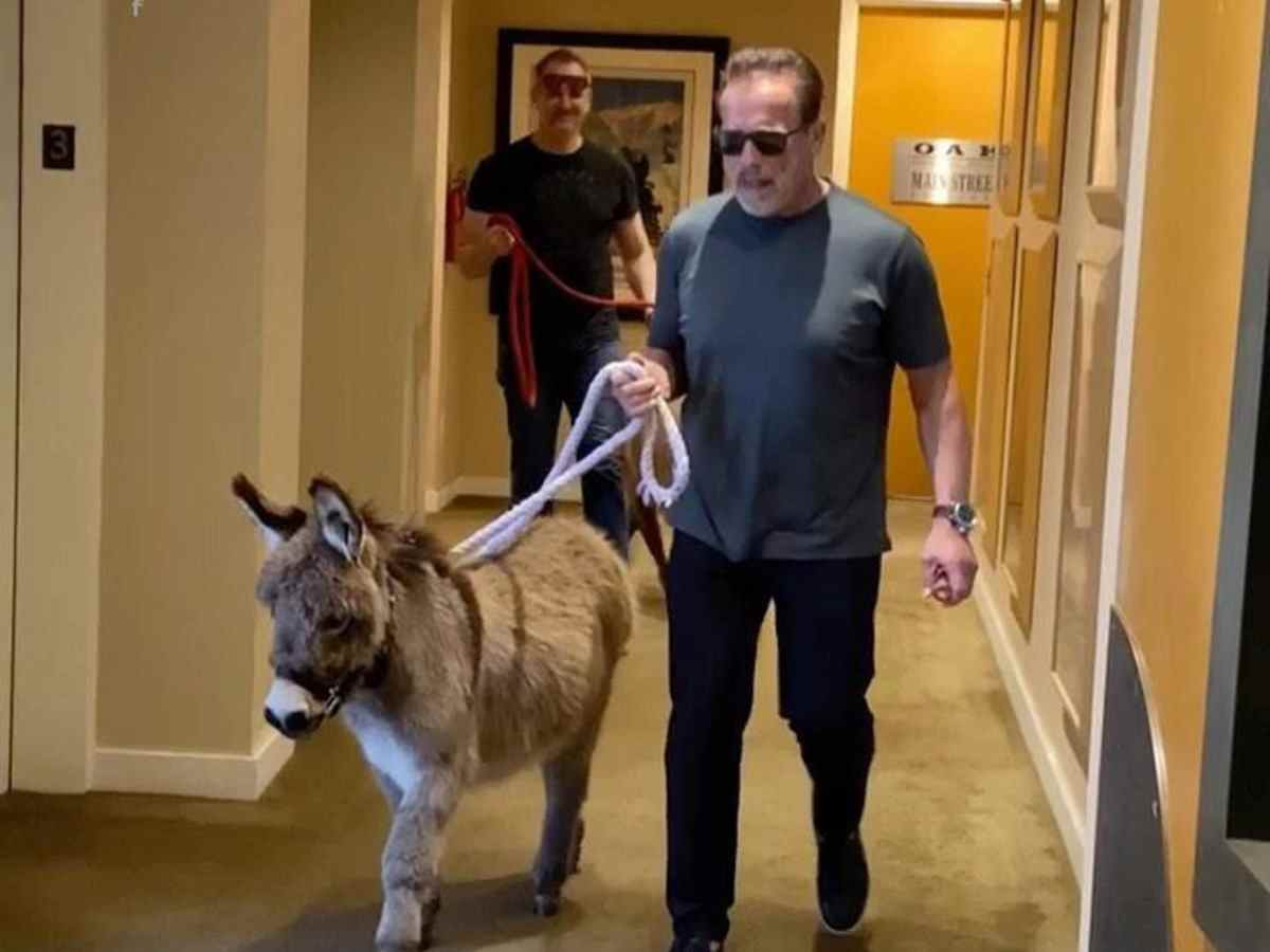 Арнольд Шварценеггер завел себе осла
