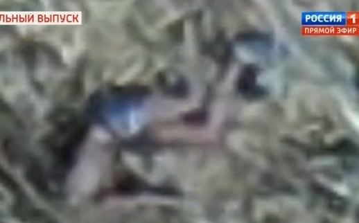 Фото тела Влада Бахова