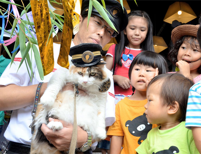С 2007 года смотрителями крохотной железнодорожной станции Киси в японской префектуре Вакаяма служат кошки. Станция очень популярна у туристов.