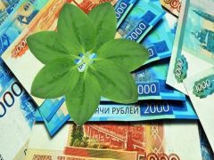 Мемы и шутки про рубль. Источник: соцсети