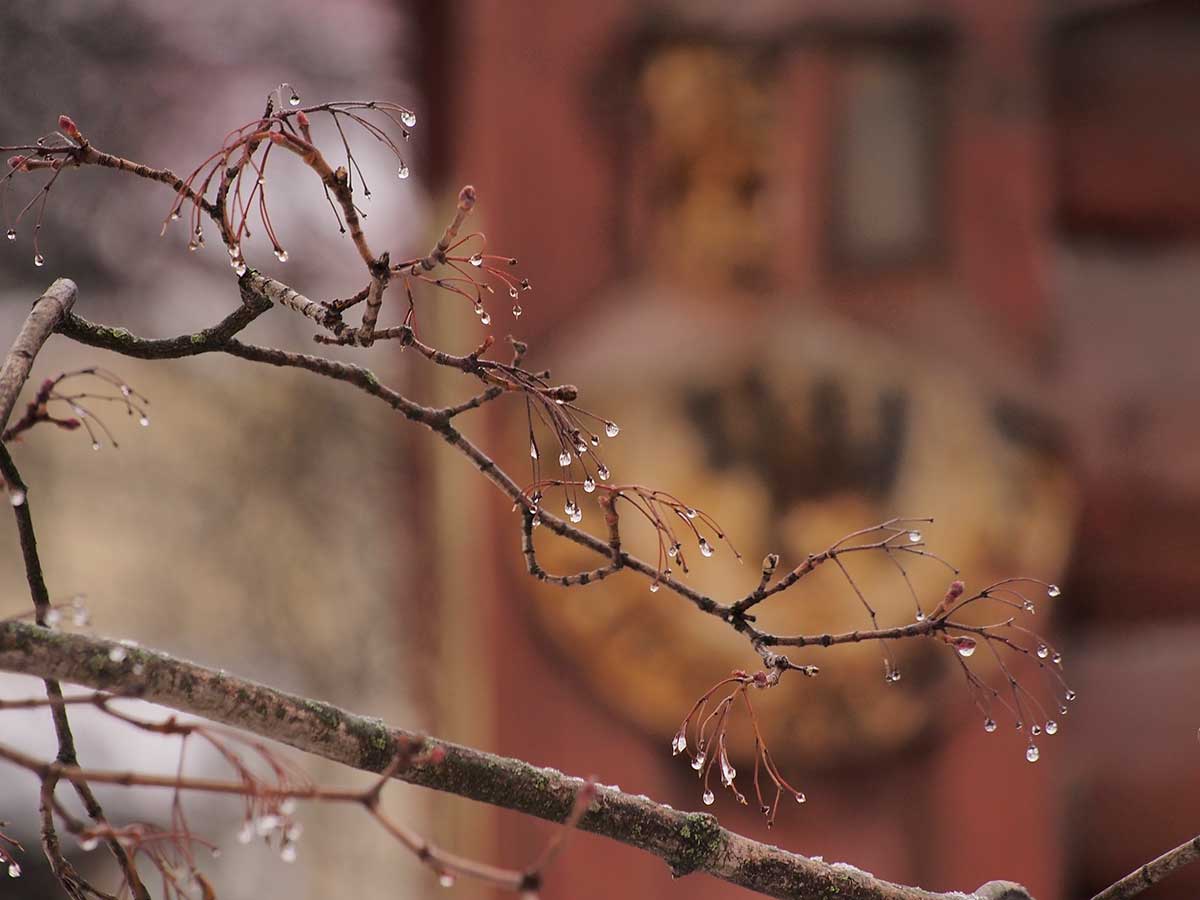Погода на апрель: по прогнозу синоптиков нам предстоит пережить очередные температурные качели – EG.RU – Погода. Прогноз погоды. Погода на апрель. Погода в апреле. Прогноз погоды в апреле.