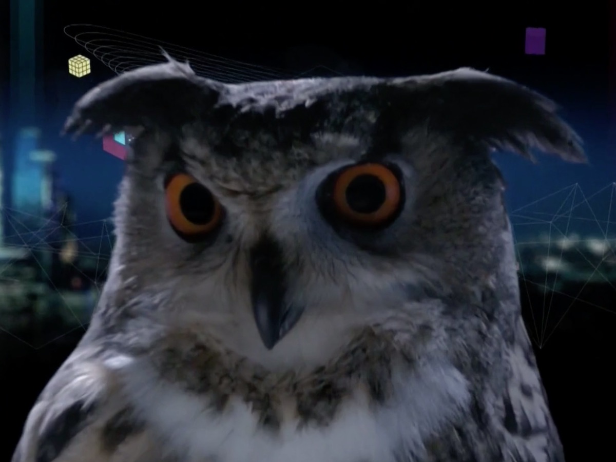 Что? Где? Когда?