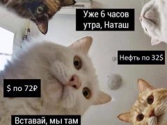Мемы и шутки про падение рубля. Источник: соцсети