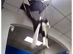 Мемы и шутки про падение рубля. Источник: соцсети