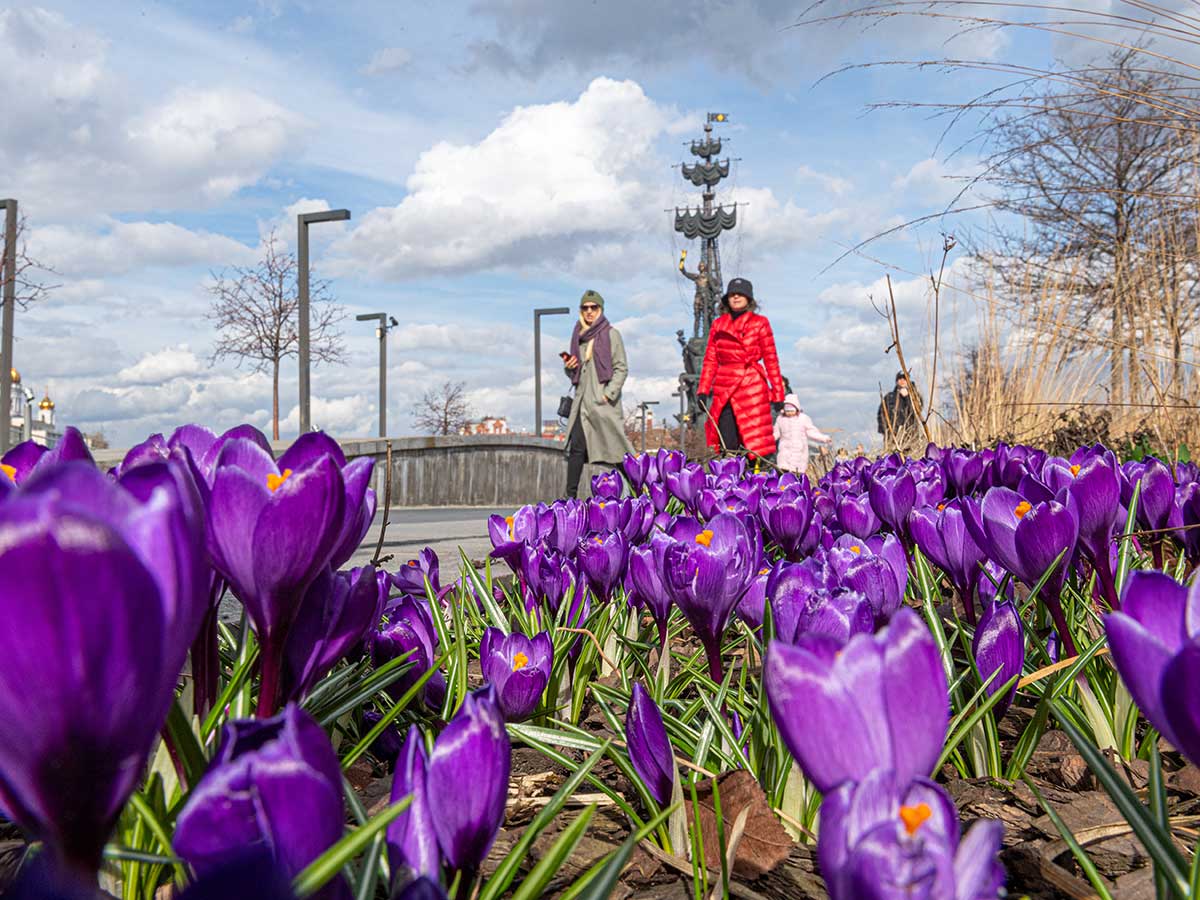 Погода в москве в апреле