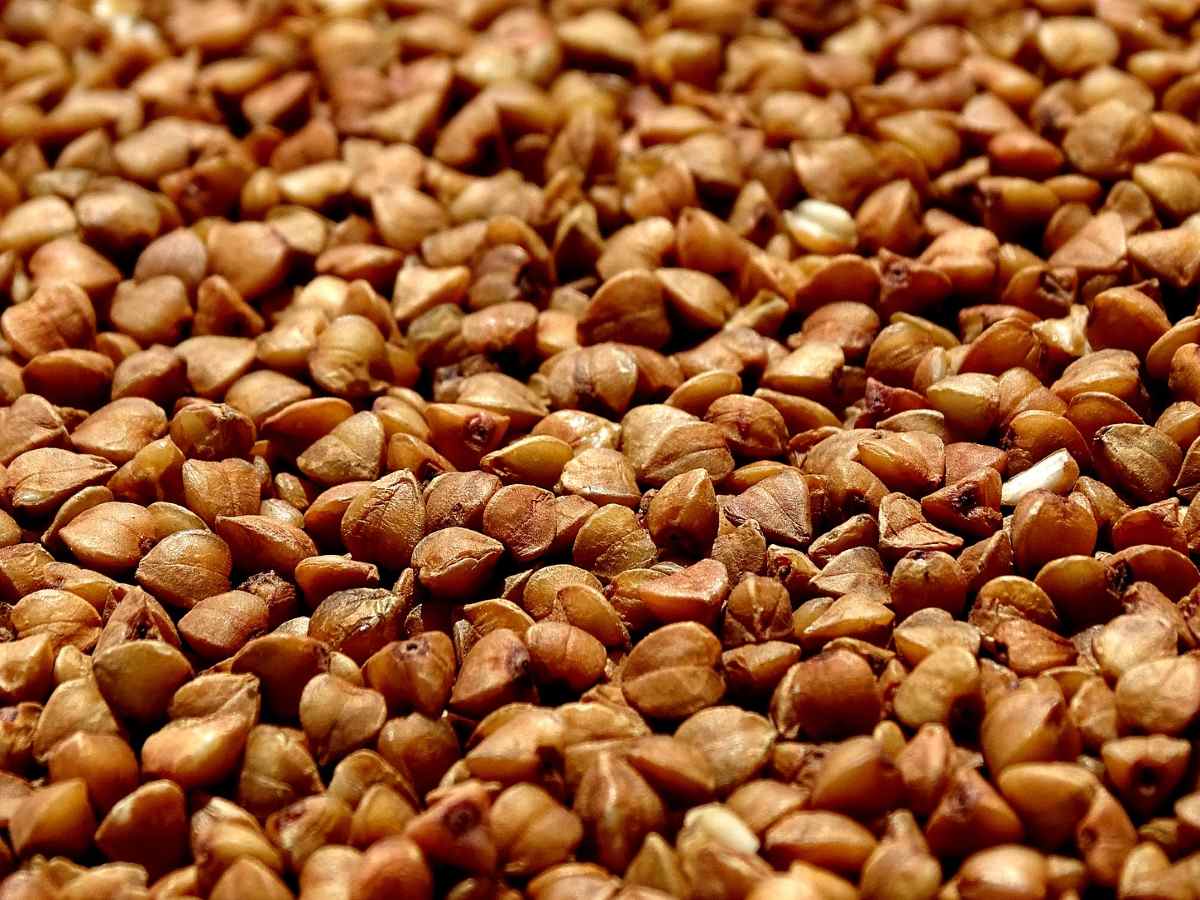 «Производители