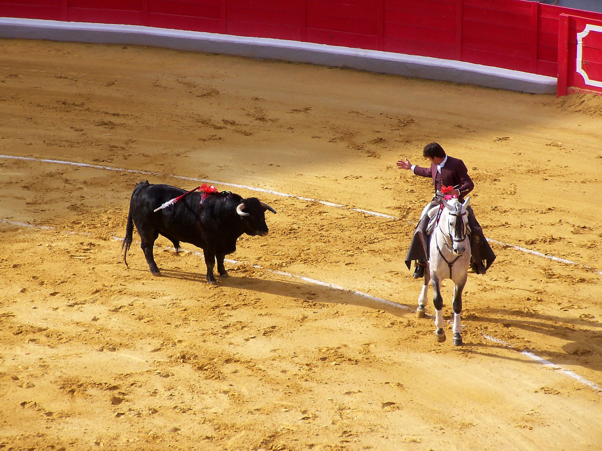 Из-за коронавируса запретили корриду