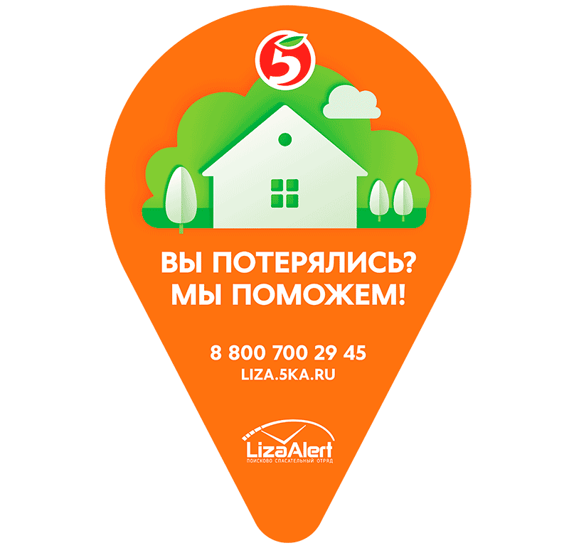 «Лиза Алерт» в магазине «Пятерочка»