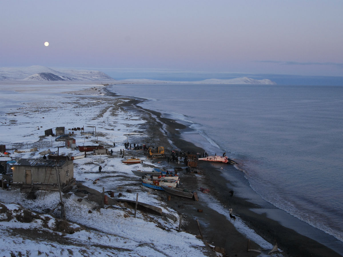 Фото Берингово Моря Фото Берингово Моря