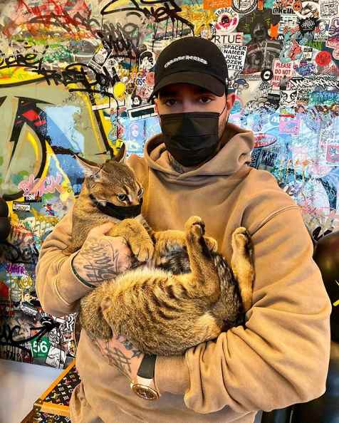 Тимати защитил кота от коронавируса