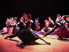 Владимир Косарев