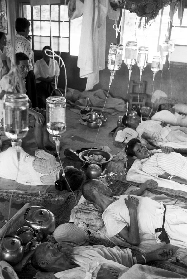 Носители холеры - крохотные рачки, которым зараза передается с водой. На фото - госпиталь в Южной Корее во время эпидемии 1970 года
