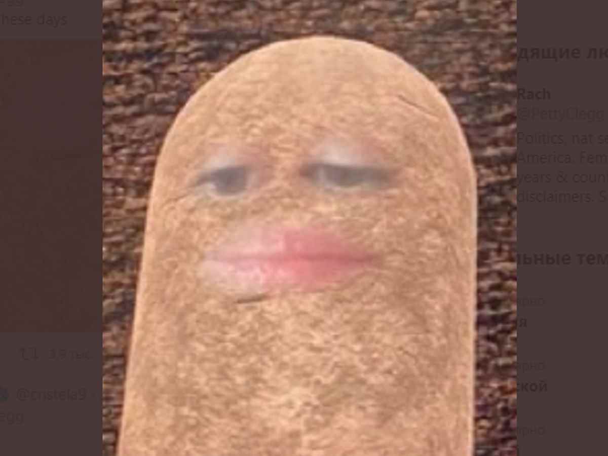 Начальница забыла выключить фильтры во время видеоконференции и опозорилась