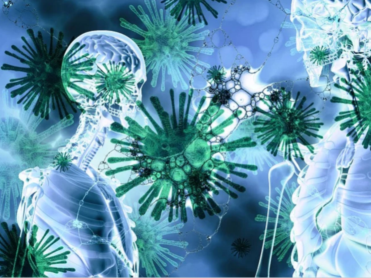 Коронавирус в еде