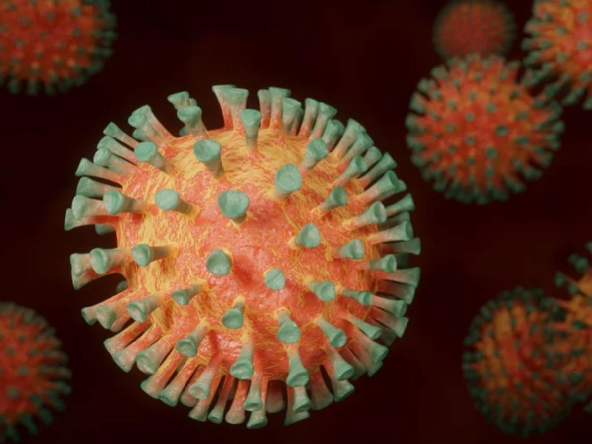 Китай не хочет участия ВОЗ в расследовании возникновения COVID-19