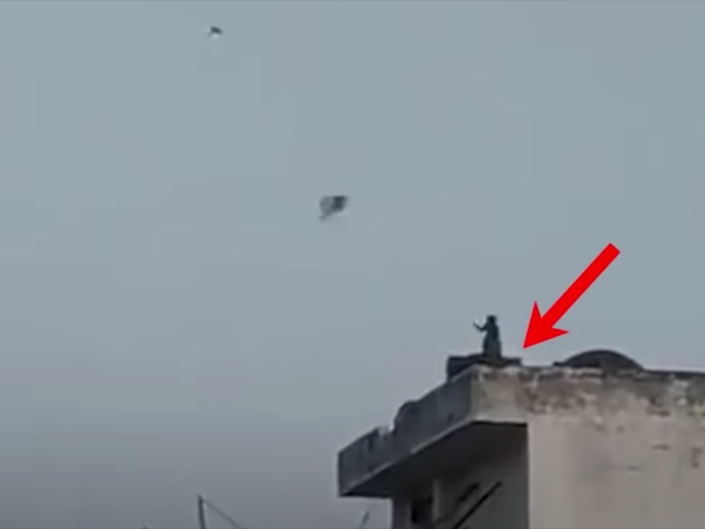 Обезьяна запустила летучего змея