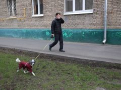 Русская рулетка московского карантина