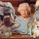 Животные английской королевы