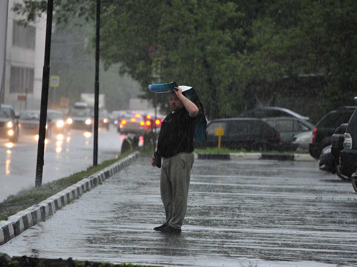 Погода на июнь: все не так, как нам мечталось. Даже хорошо, что самоизоляцию продлили– EG.RU – Погода. Прогноз погоды. Июнь погода. Погода июнь. Погода в июне. Погода прогноз. Прогноз погоды на июнь. Погода в Москве. Погода в июне в Москве. Москва погода