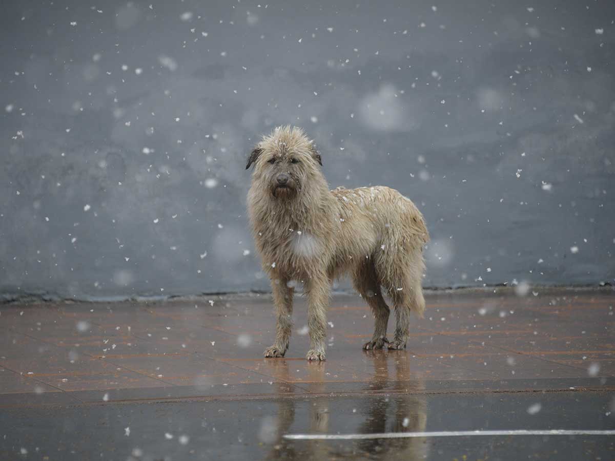 Погода на июнь: жаркая блокада закончится заморозками – EG.RU – Погода. Прогноз погоды. Погода в июне. Погода прогноз. Прогноз погоды на июнь. Погода в Москве. Погода в июне в Москве. Москва погода