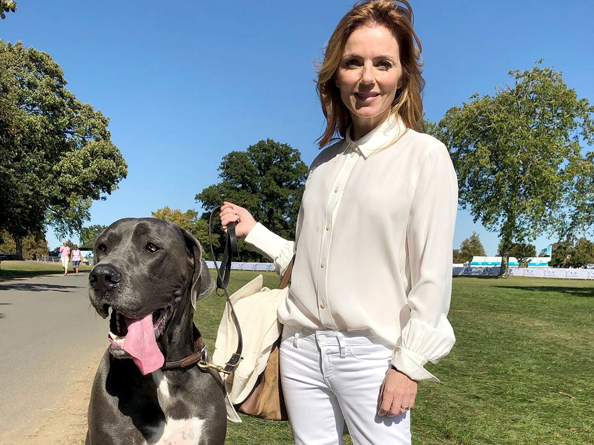 Самоизоляцию Джери проводит в хорошей компании в семейном поместье за 30 млн ф. ст.