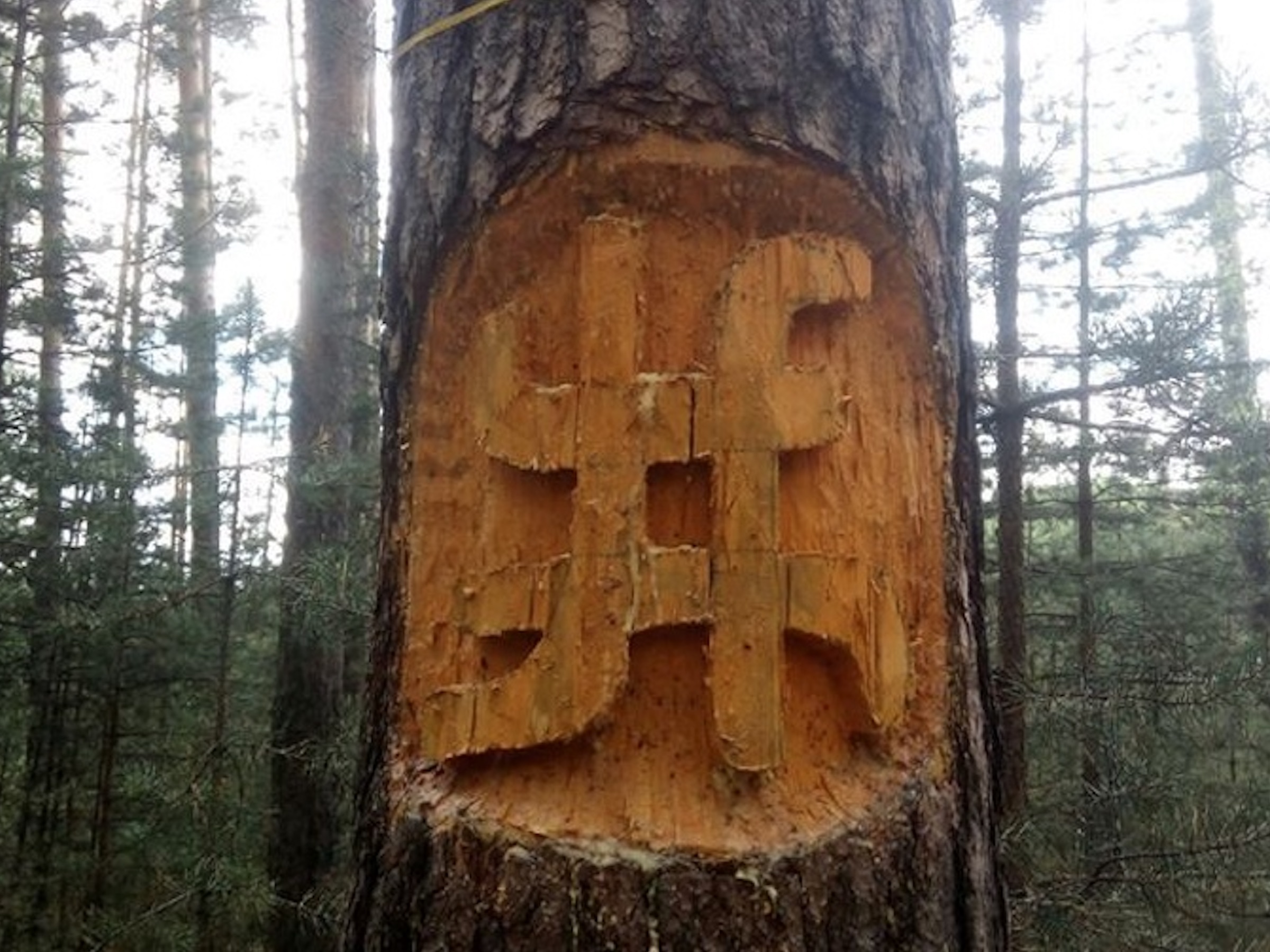 Масонский символ