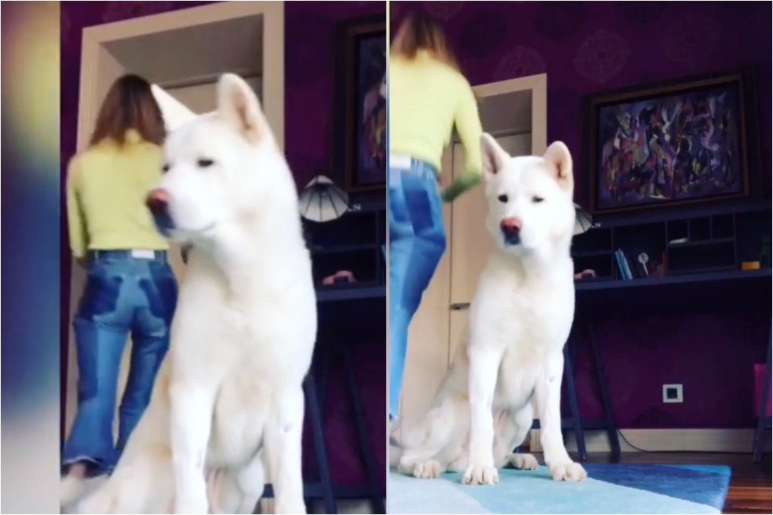 Попа Глюкозы