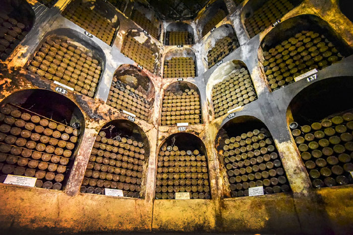 Здесь зреет вино Инкерманского завода