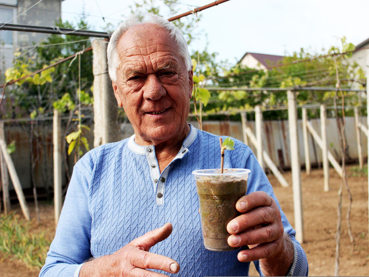 Виноградарь Владимир Кравец