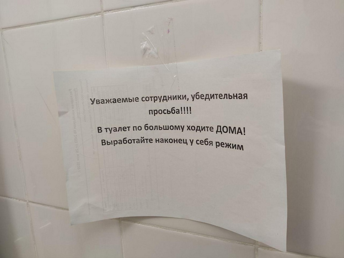 Объявление в туалете