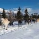 На Аляске сносят памятник Баранову