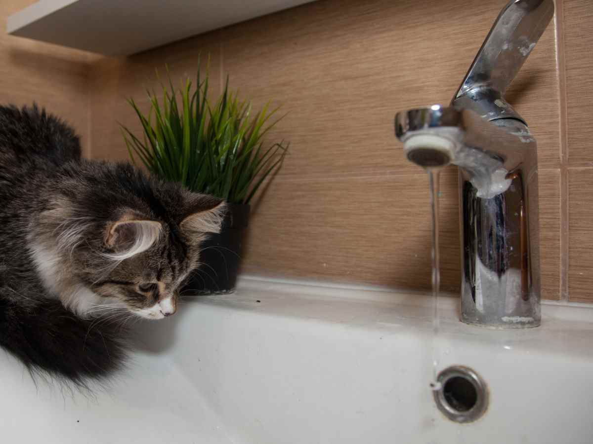 Москвичи обрушили сайты, где опубликован график отключения горячей воды