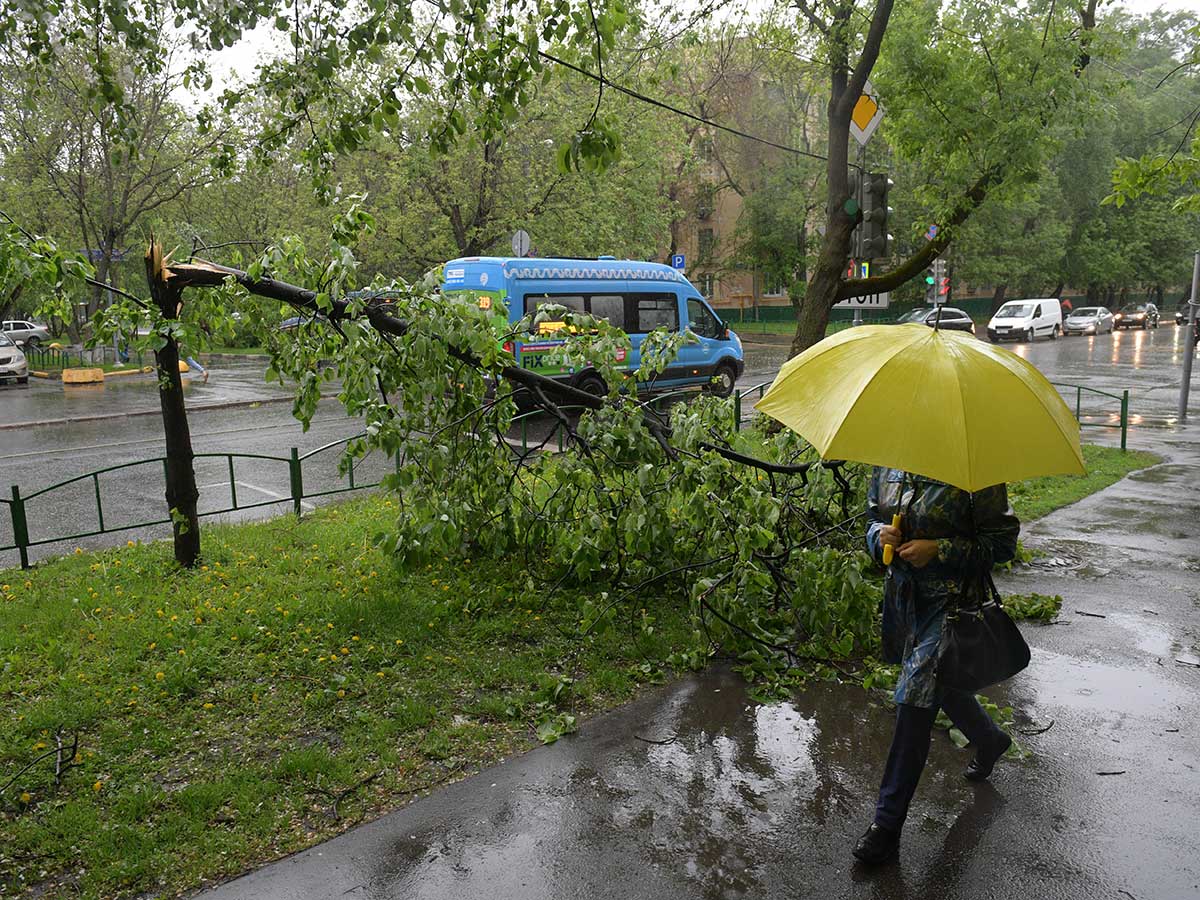 Погода в Москве: на столицу надвигаются не по летнему холодные ливни и грозы – EG.RU – Погода. Прогноз погоды. Погода в июне. Погода Москва. Погода в Москве. Погода в Москве на неделю. Москва погода. Москва прогноз погоды. Москва погода на неделю